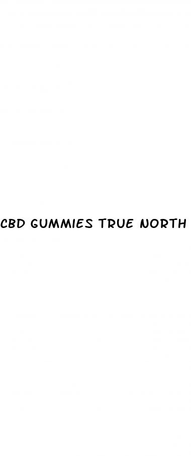 cbd gummies true north