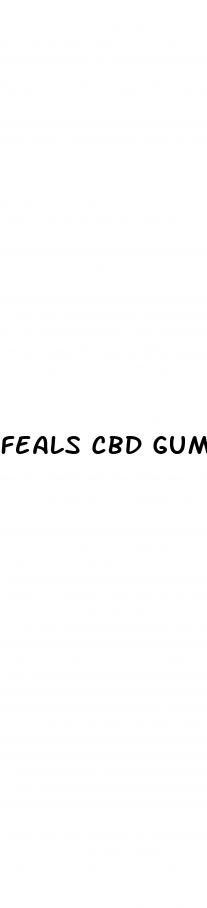 feals cbd gummies