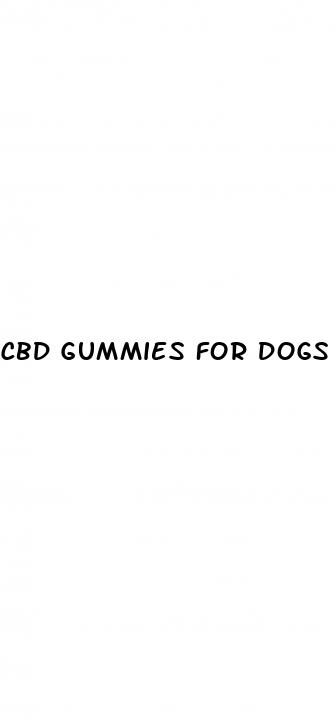 cbd gummies for dogs for seizures