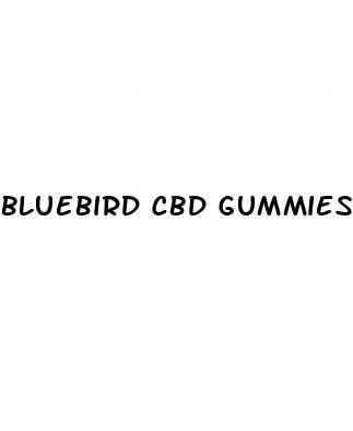 bluebird cbd gummies