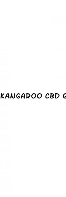 kangaroo cbd gummies review