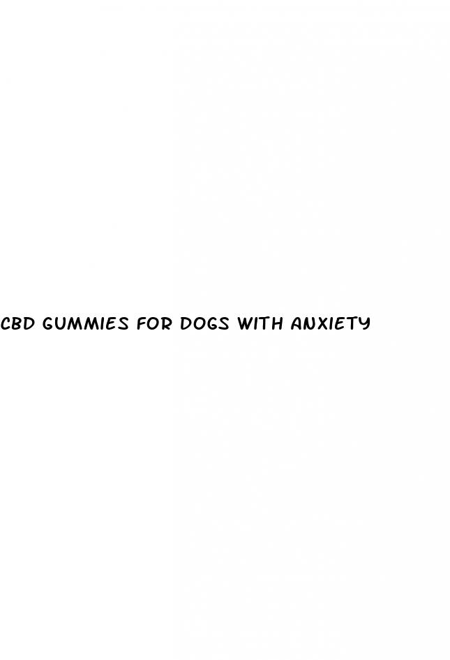 cbd gummies for dogs with anxiety