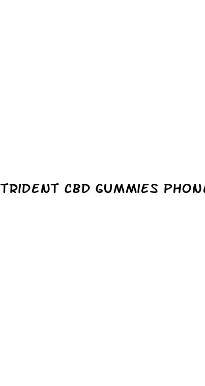 trident cbd gummies phone number