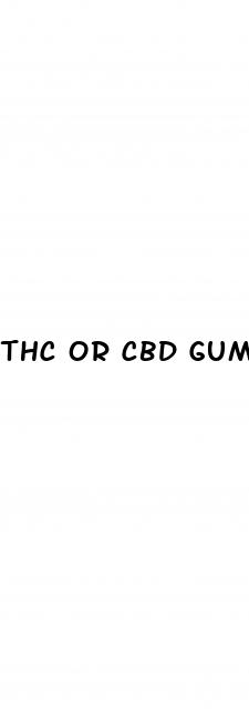 thc or cbd gummies 10 mg