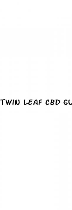 twin leaf cbd gummies