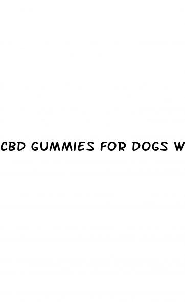 cbd gummies for dogs with joint pain