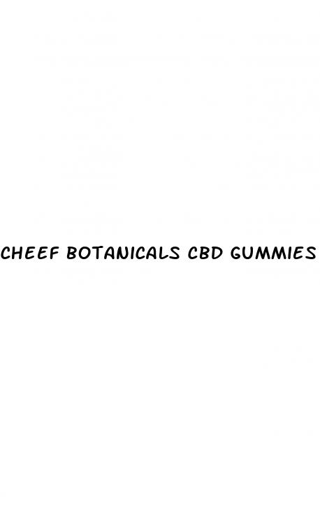 cheef botanicals cbd gummies