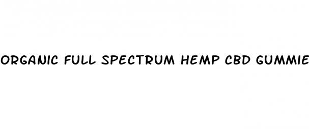 organic full spectrum hemp cbd gummies