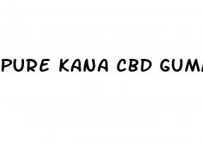 pure kana cbd gummies in stores