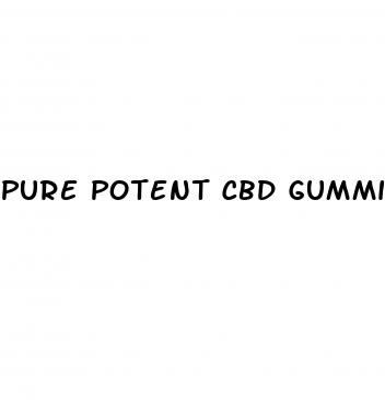 pure potent cbd gummies reviews