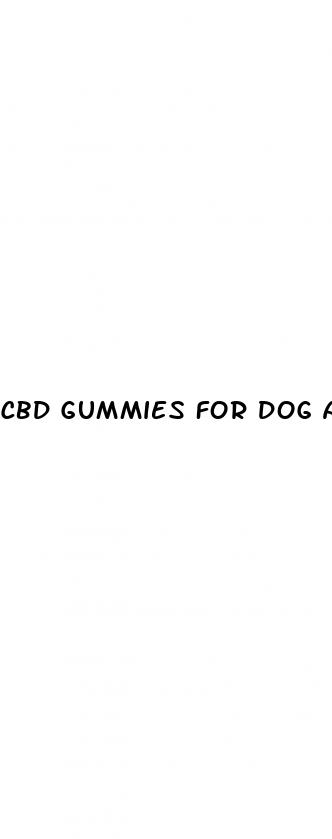 cbd gummies for dog anxiety