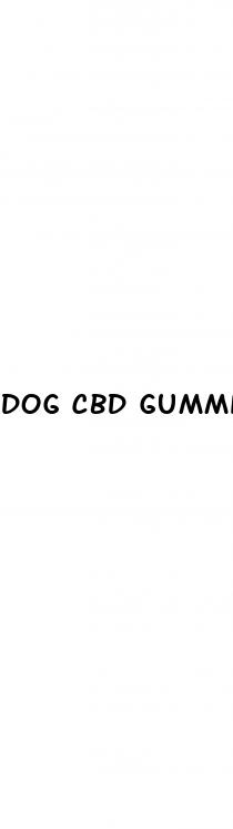 dog cbd gummies nearby