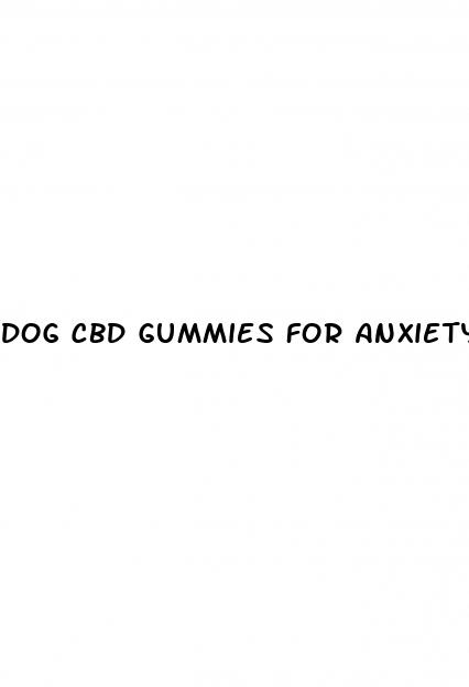 dog cbd gummies for anxiety