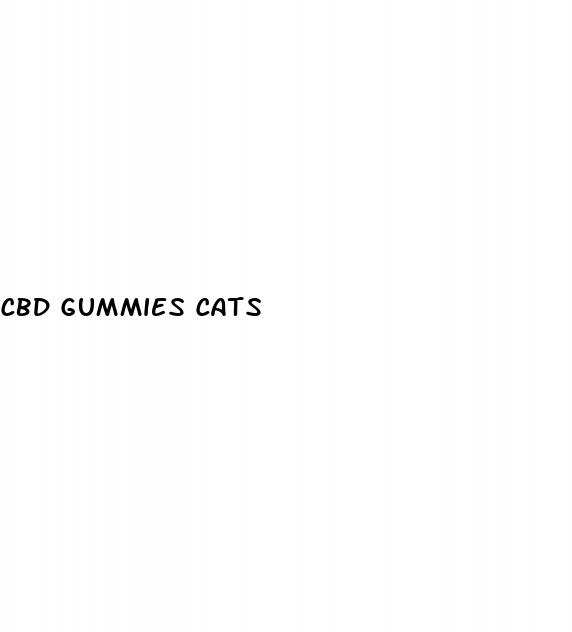 cbd gummies cats