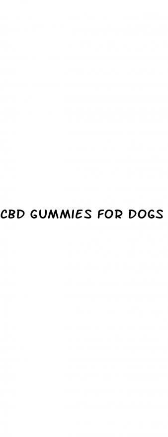 cbd gummies for dogs near me