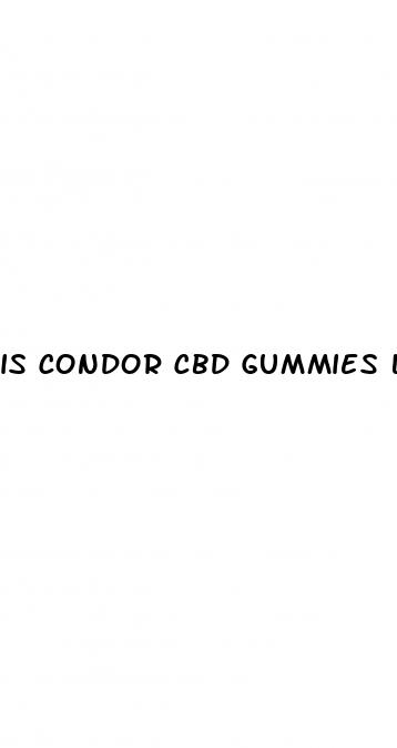 is condor cbd gummies legit