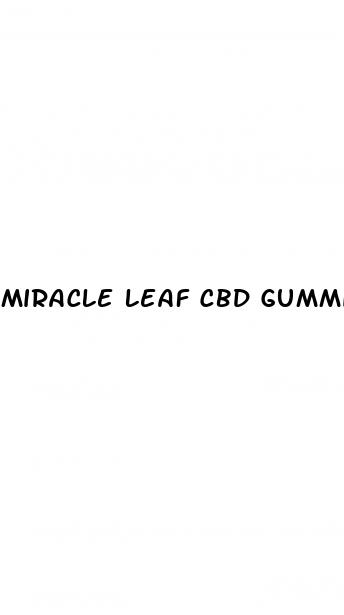 miracle leaf cbd gummies 300mg