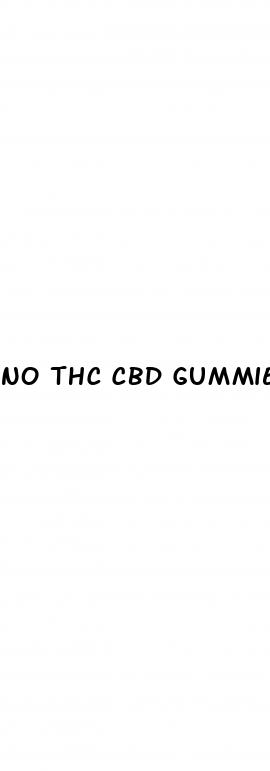 no thc cbd gummies