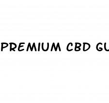 premium cbd gummies 30mg