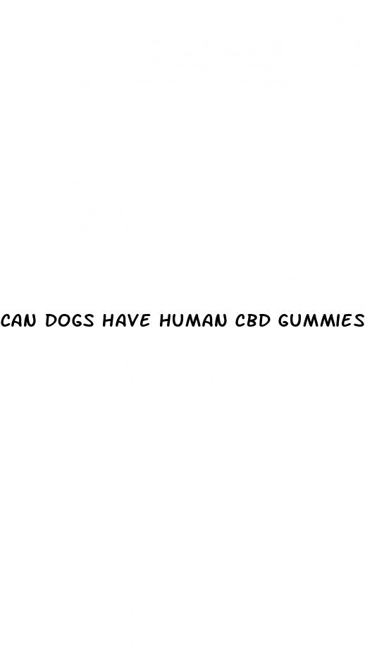 can dogs have human cbd gummies