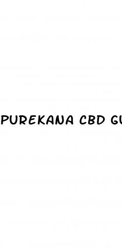 purekana cbd gummies for hair loss