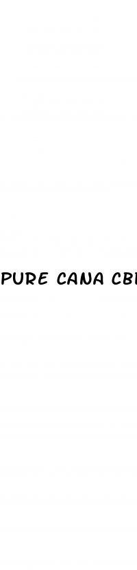 pure cana cbd gummies reviews