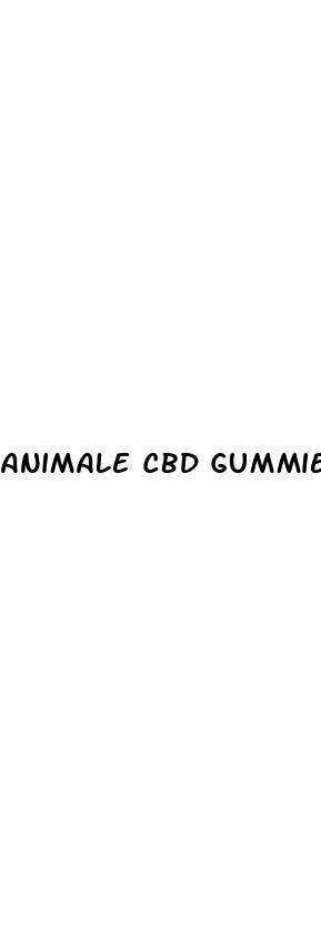 animale cbd gummies for sale