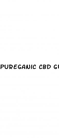 pureganic cbd gummies