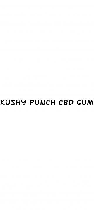 kushy punch cbd gummies