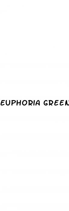 euphoria green cbd gummies ed