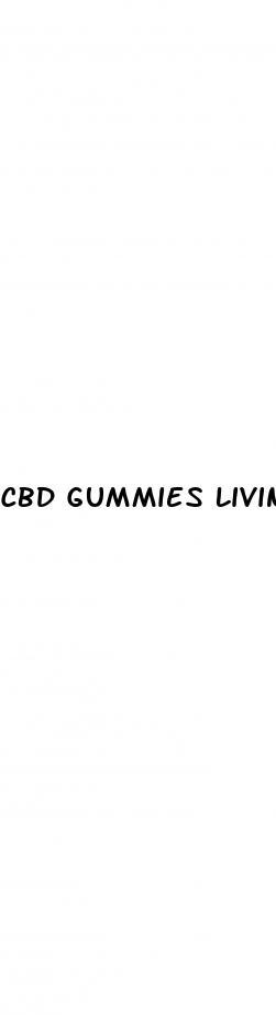 cbd gummies living good