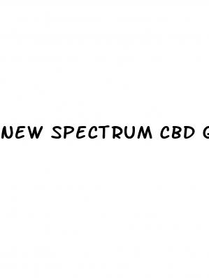 new spectrum cbd gummies