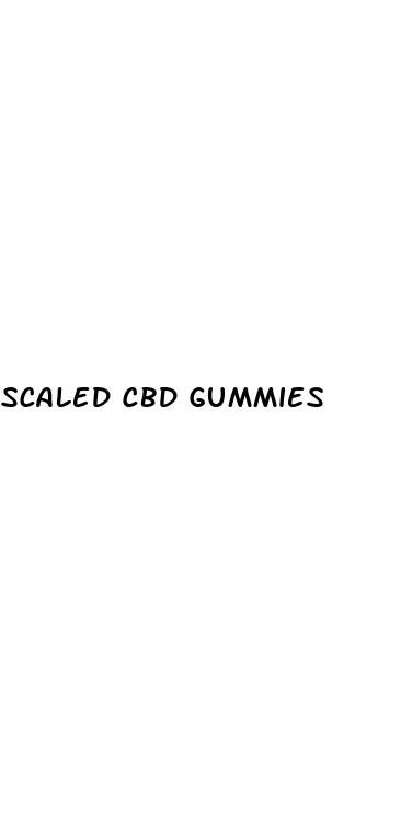 scaled cbd gummies