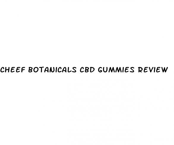 cheef botanicals cbd gummies review