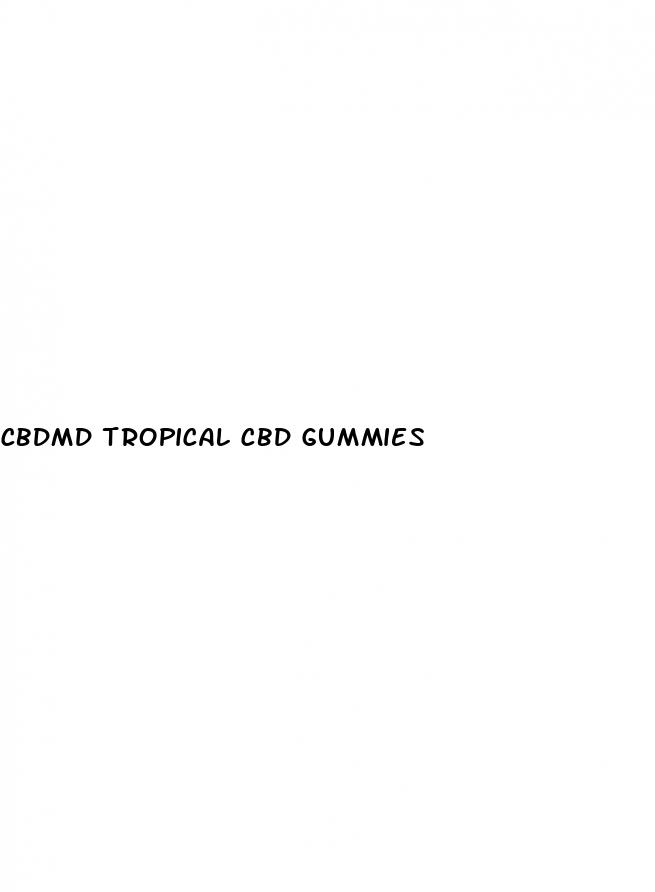 cbdmd tropical cbd gummies