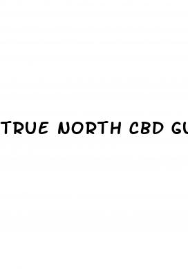 true north cbd gummies reviews