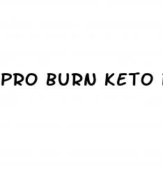 pro burn keto plus acv gummies reviews