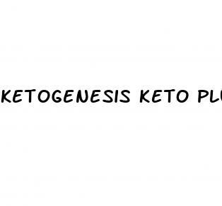 ketogenesis keto plus acv gummies