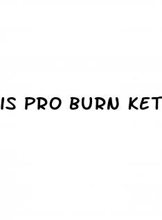 is pro burn keto gummies legit