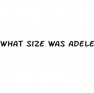 what size was adele before weight loss