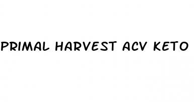 primal harvest acv keto gummies