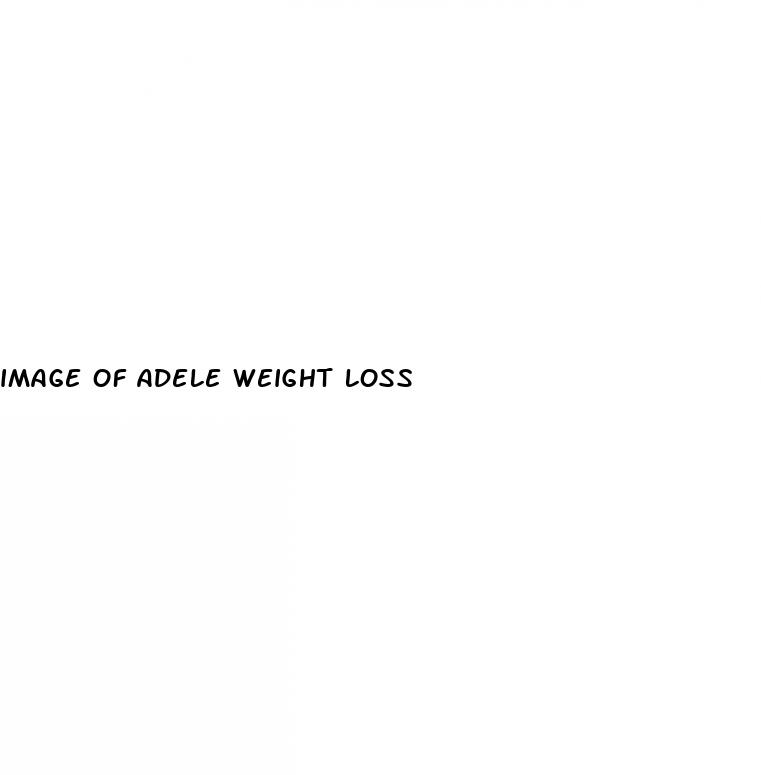 image of adele weight loss