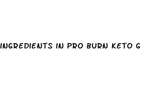 ingredients in pro burn keto gummies