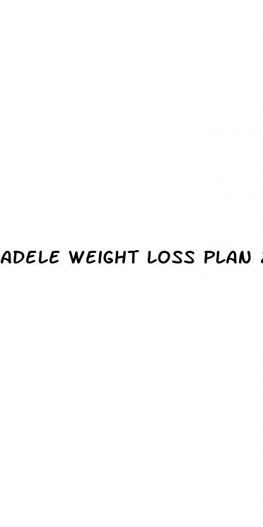 adele weight loss plan 2024