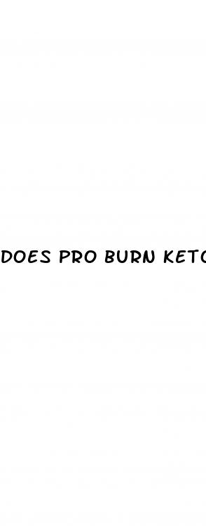 does pro burn keto gummies really work