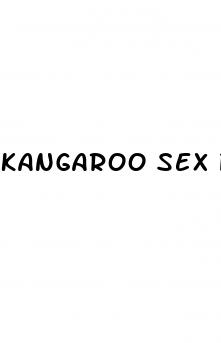 kangaroo sex pill for him