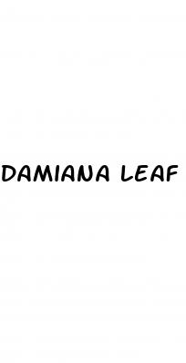 damiana leaf erectile dysfunction