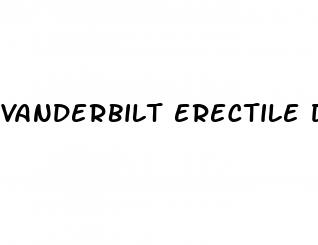 vanderbilt erectile dysfunction