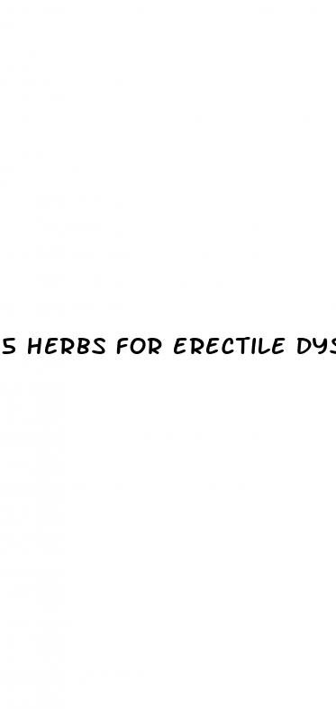 5 herbs for erectile dysfunction