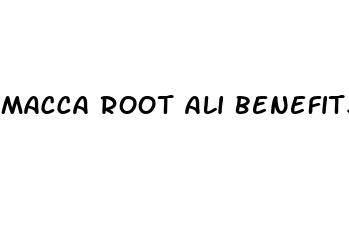 macca root ali benefits for male in enhancement